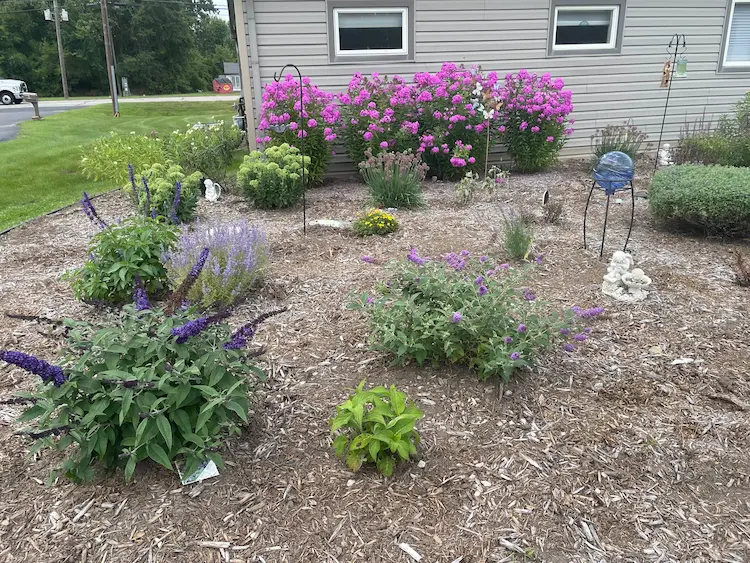 Beautiful flowers ranging in type and color are shown growing
