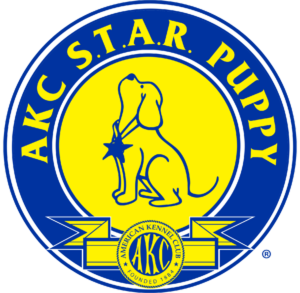 AKC Star Puppy Certified